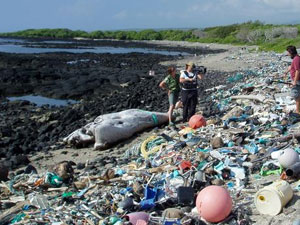 Отходы пластика в прибрежной зоне