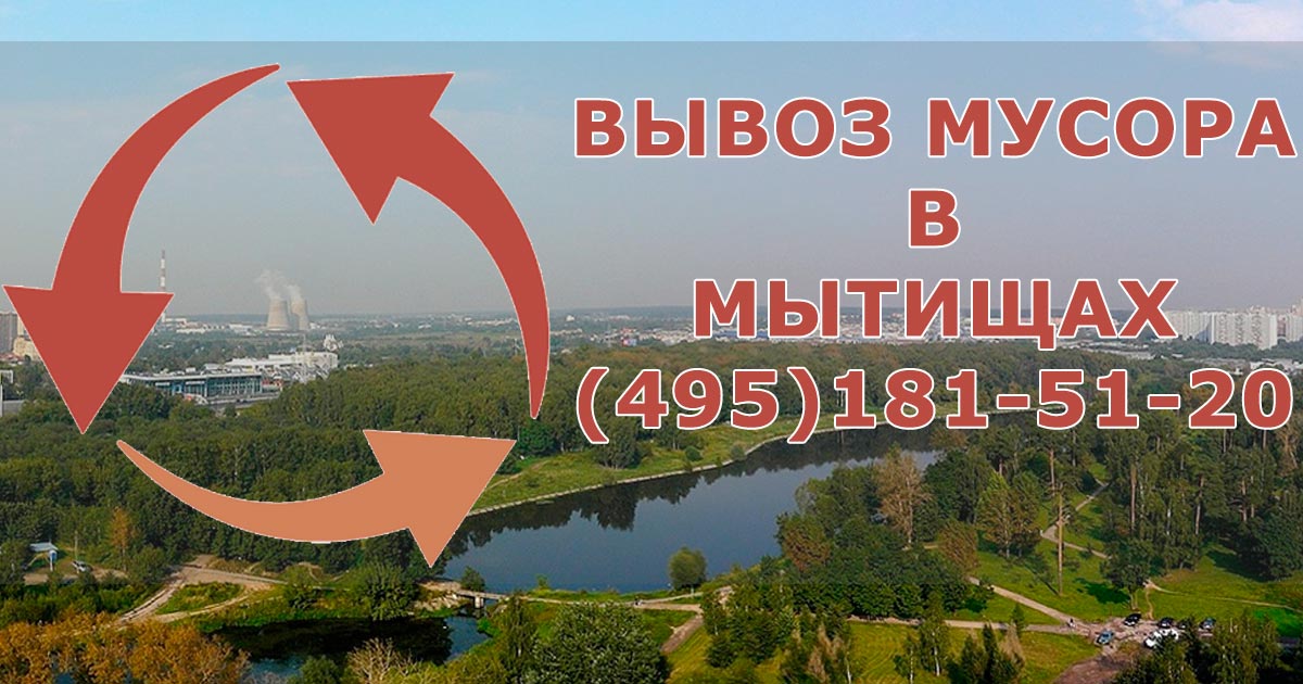 Давайте вместе сделаем Мытищи чище!