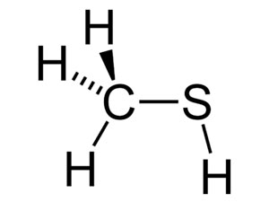 Метилмеркаптан