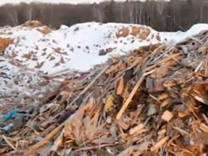 гора мусора на полигоне
