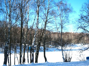 Зима в Северном автономном округе Москвы